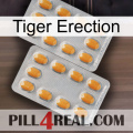 Tiger Erection cialis4